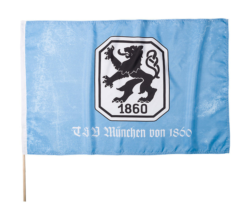 Fahne Retro Logo hellblau/weiß 100x150