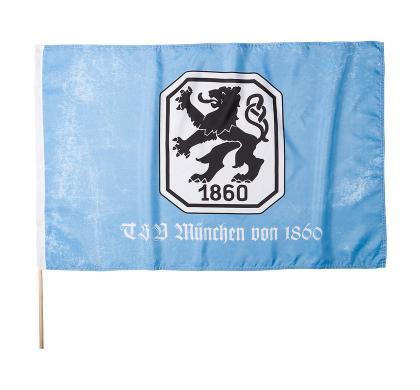 Fahne Retro Logo hellblau/weiß 100x150