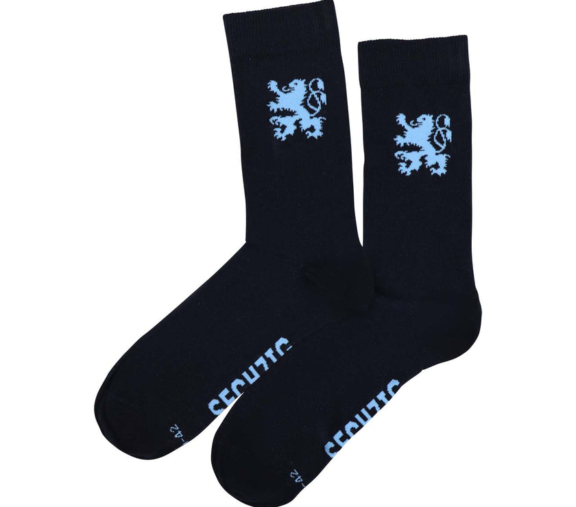 Socke Löwe 2er Set