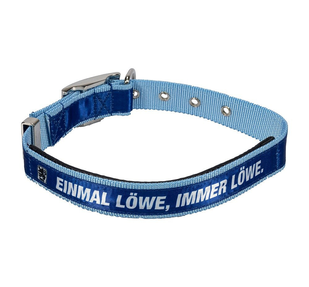 Hundehalsband groß (45-60 cm)