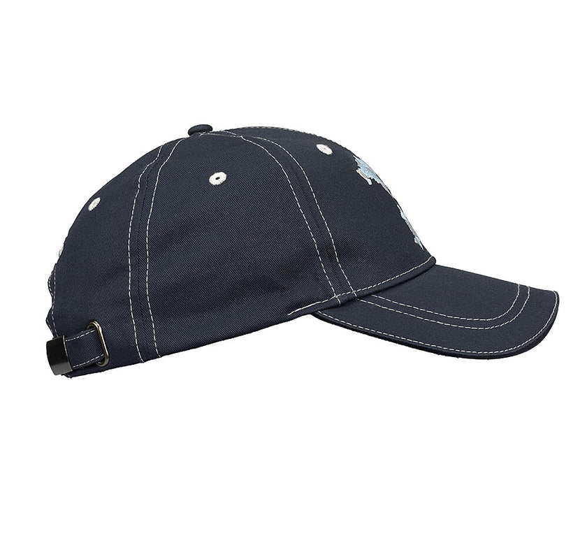 Cap Landkarte